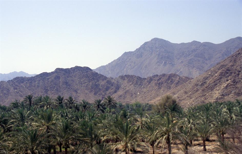 صورة صورة