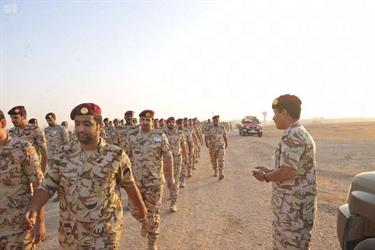 توضيحية توضيحية