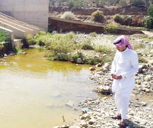 الصورة الصورة