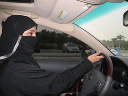 ارشيفية ارشيفية